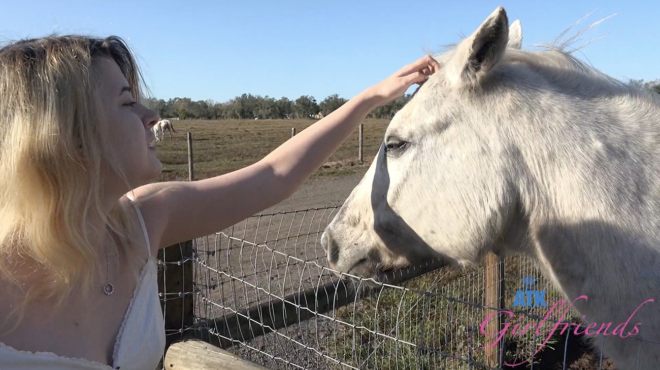 Dez Hansen Florida Part 4