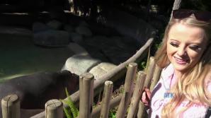 You take Paris to the zoo!